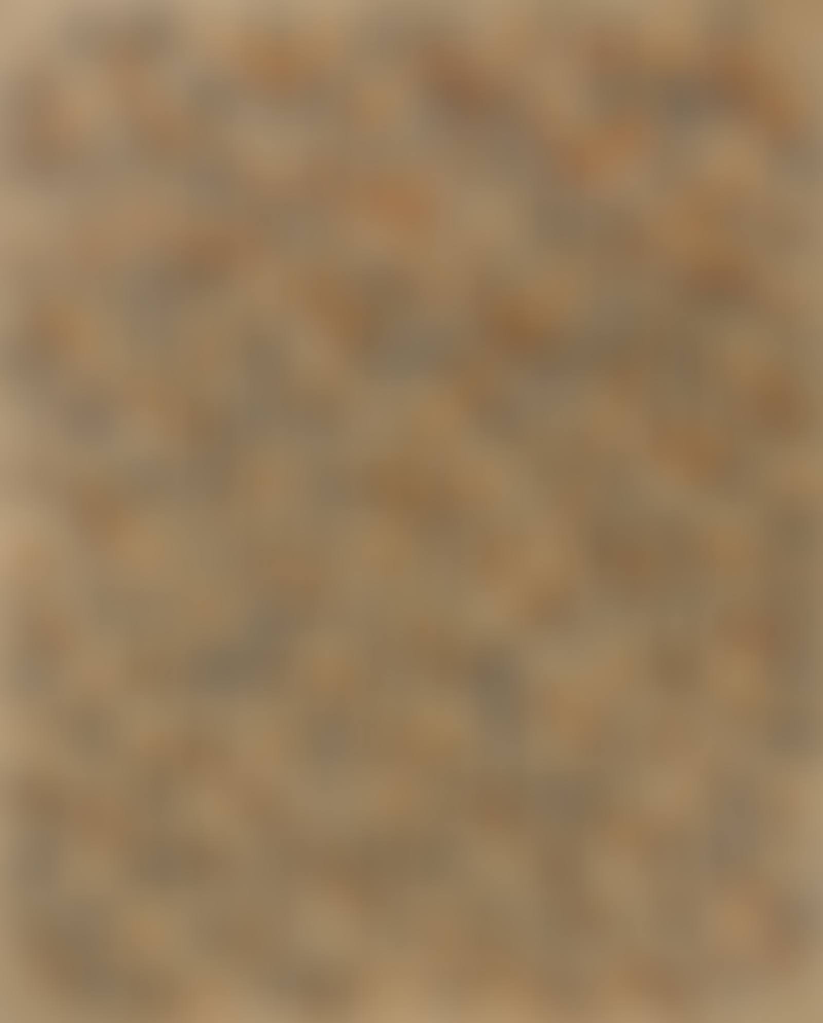 Recurrence (preview)