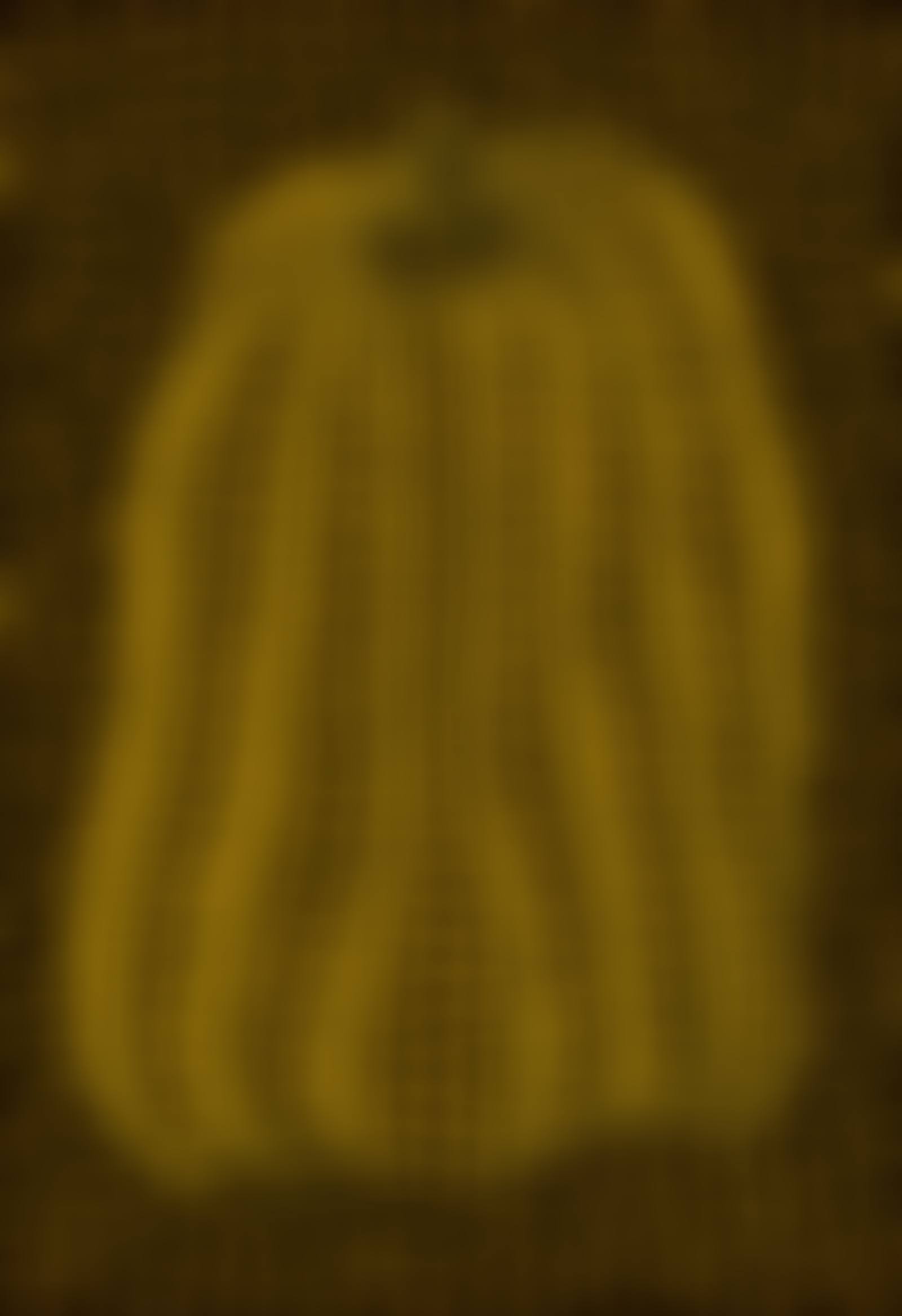 Pumpkin (preview)