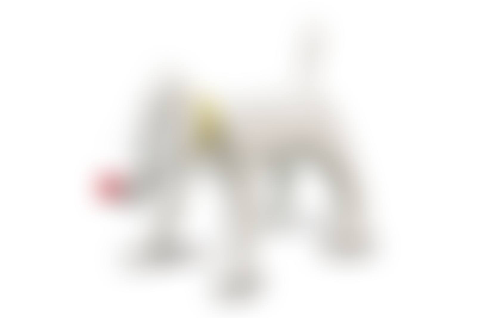 Doggy Radio (preview)