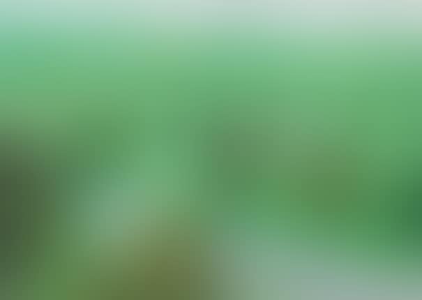 A Bigger Green Valley (preview)