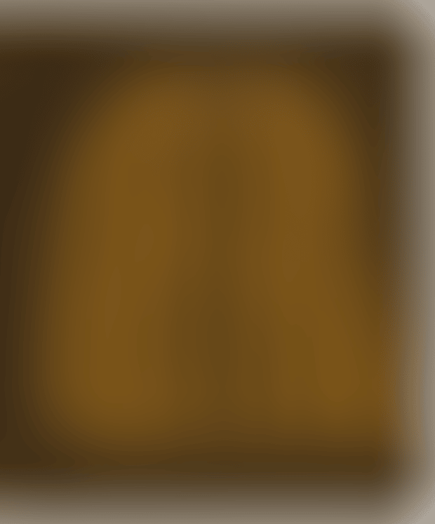 PUMPKIN (YELLOW T) (preview)