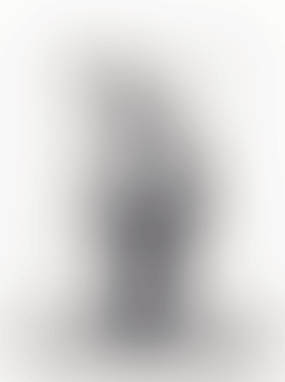 COMPANION (grey dissected） (preview)