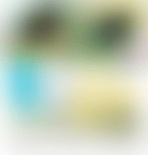 1. Buildinghead: Chameleon／2. Buildinghead: Palm trees／3. Sky／4. Yuyake chan Miss Sunset (preview)