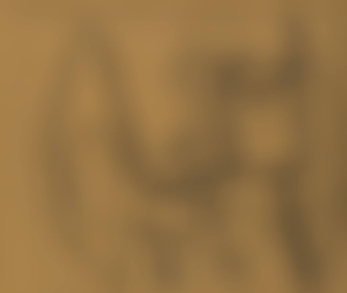 Abstract Still Life (preview)