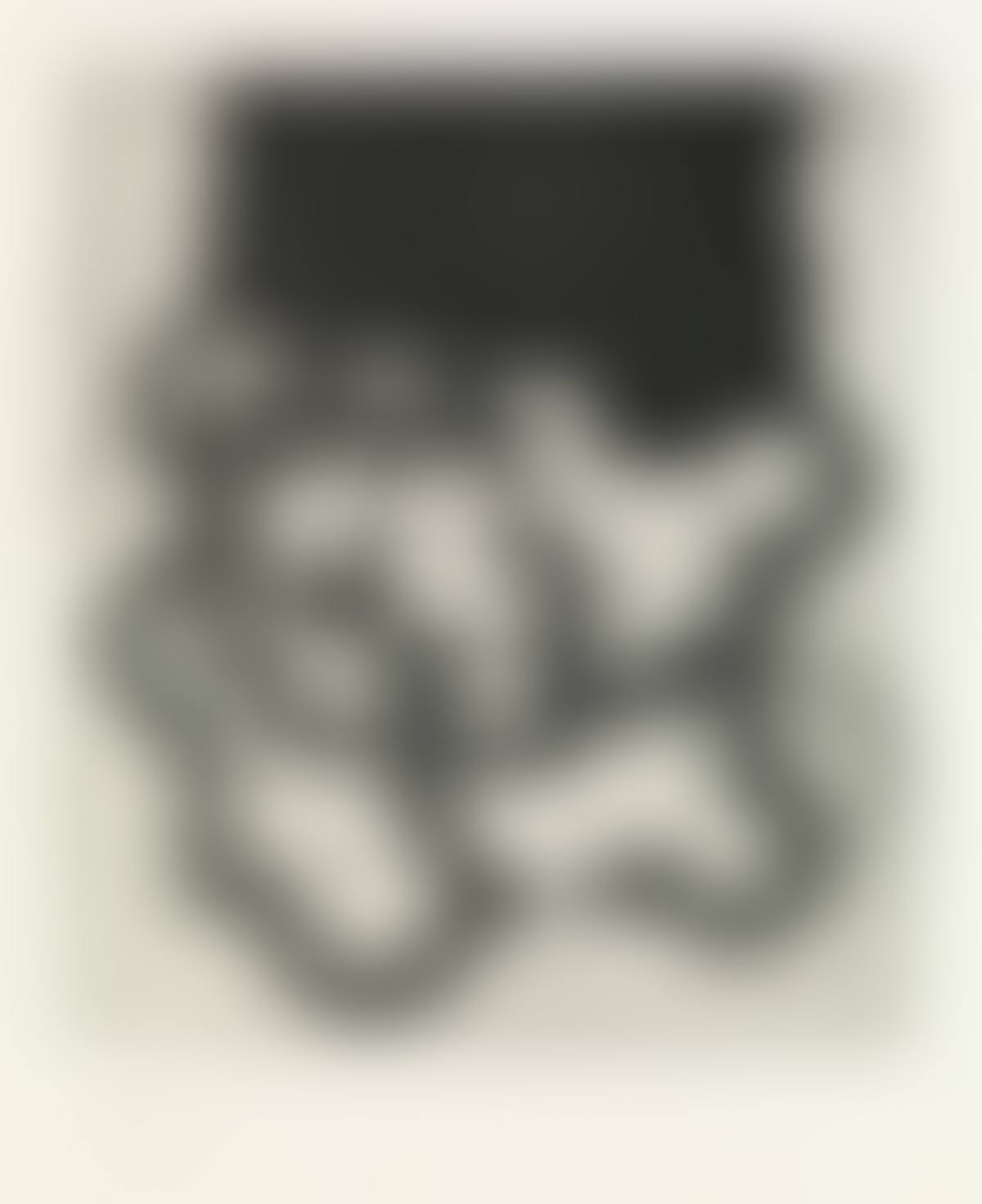 Homenaje à Sir Roland Penrose (preview)