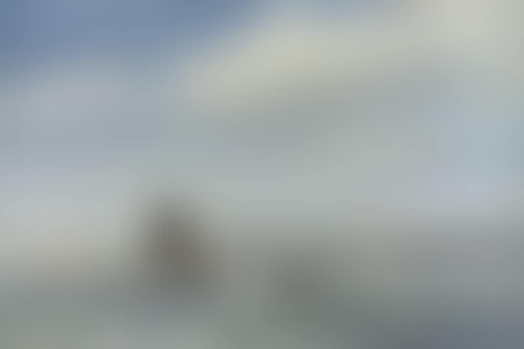 A breeze in the harbour (preview)