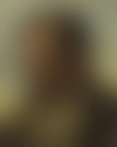 The head of a bearded man (preview)