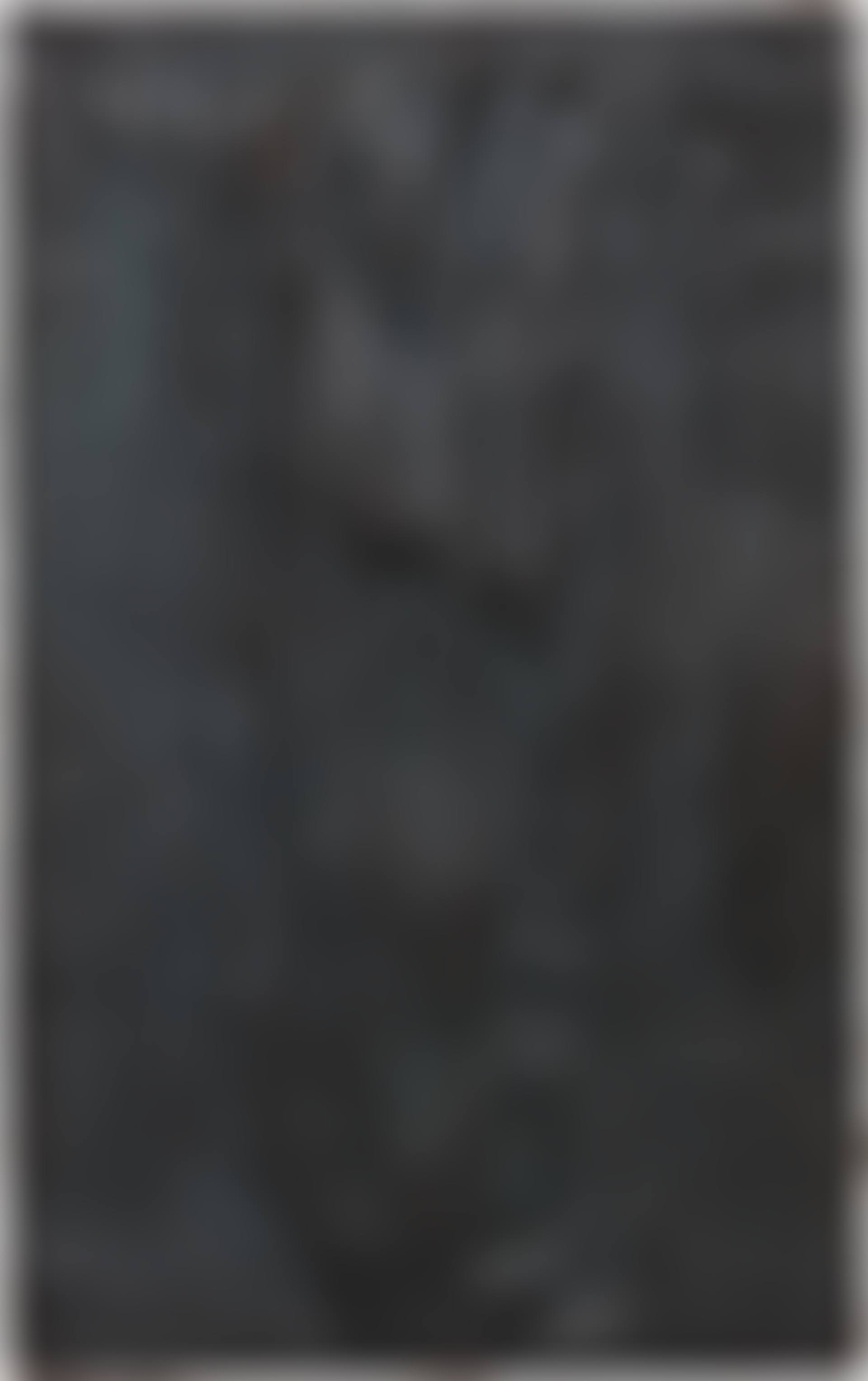 Bronze Relief 11/88 (preview)
