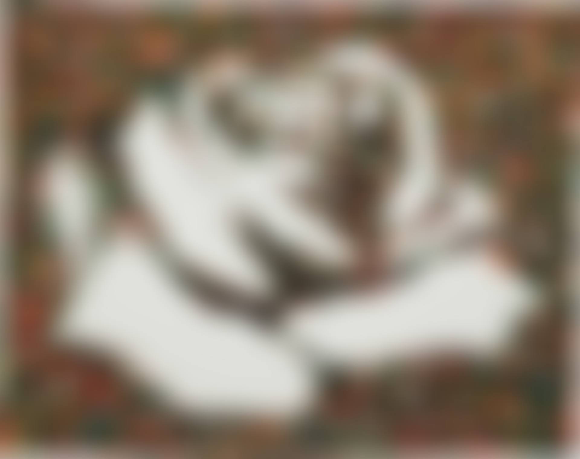 The White Rose (from the Monad Series) (preview)