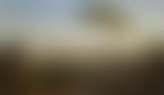 A view of Rome (preview)