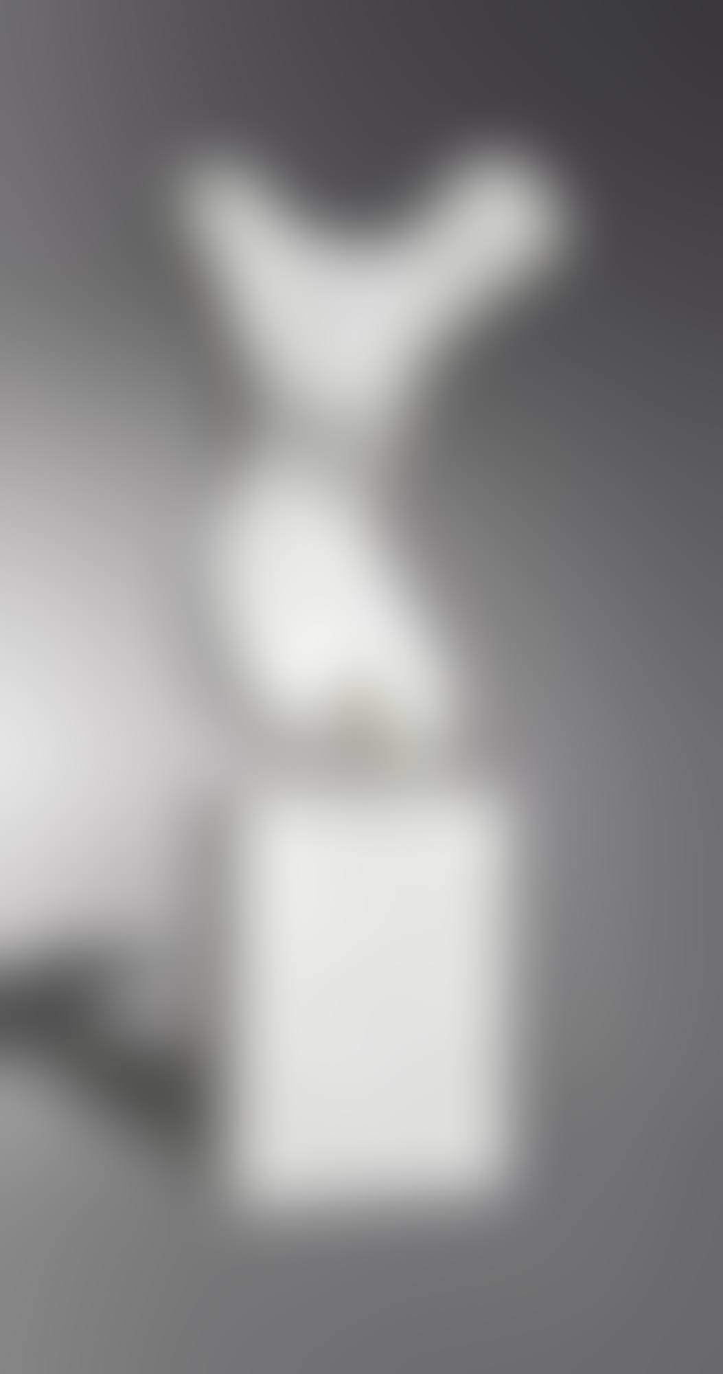 TORSE (preview)