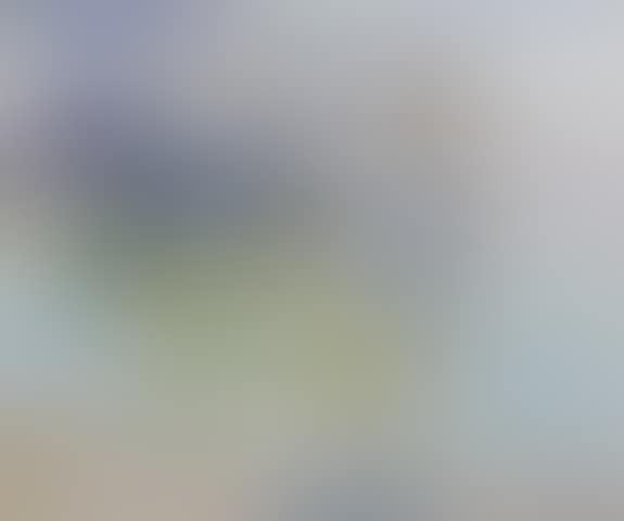 Low tide (preview)