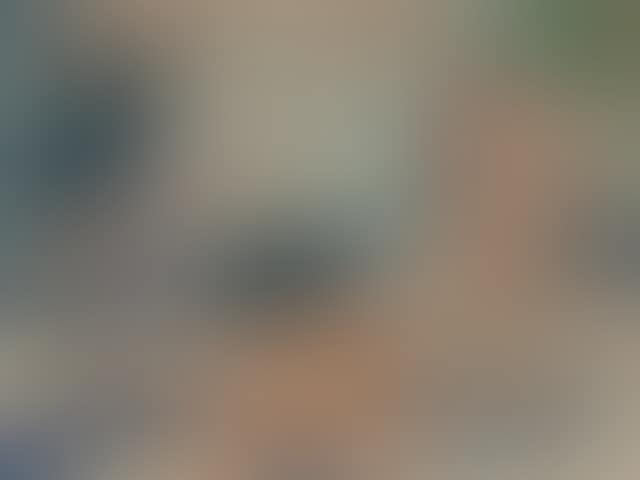 Stehende und sitzende Akte (preview)