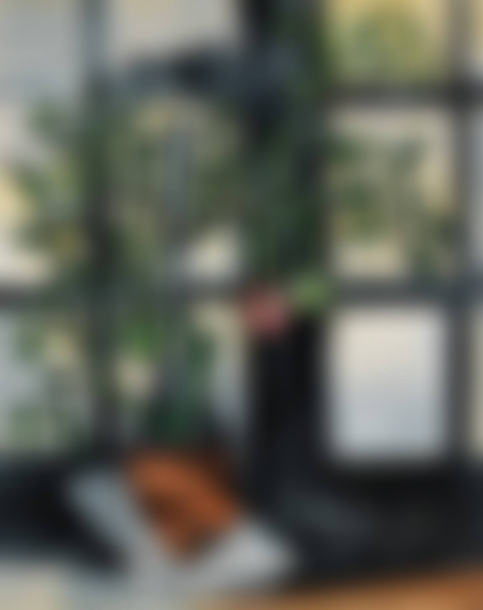 PLANT DE TOMATES (preview)