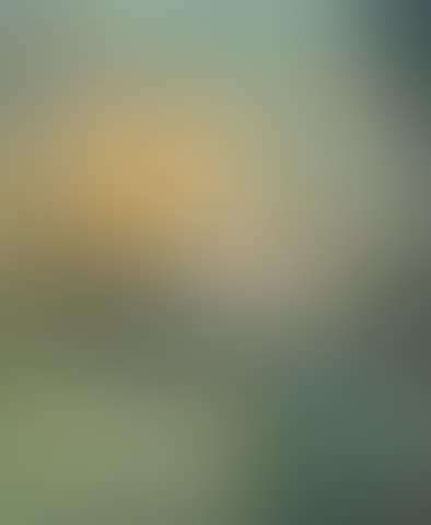 Matin doré (preview)