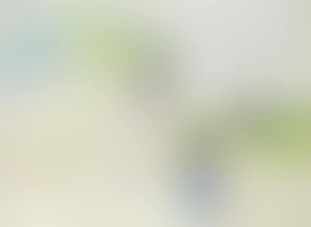 Sommer (Summer) (preview)