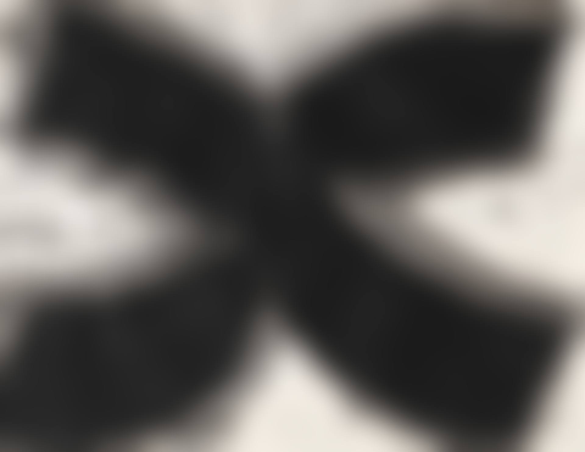 C.C. XI (preview)