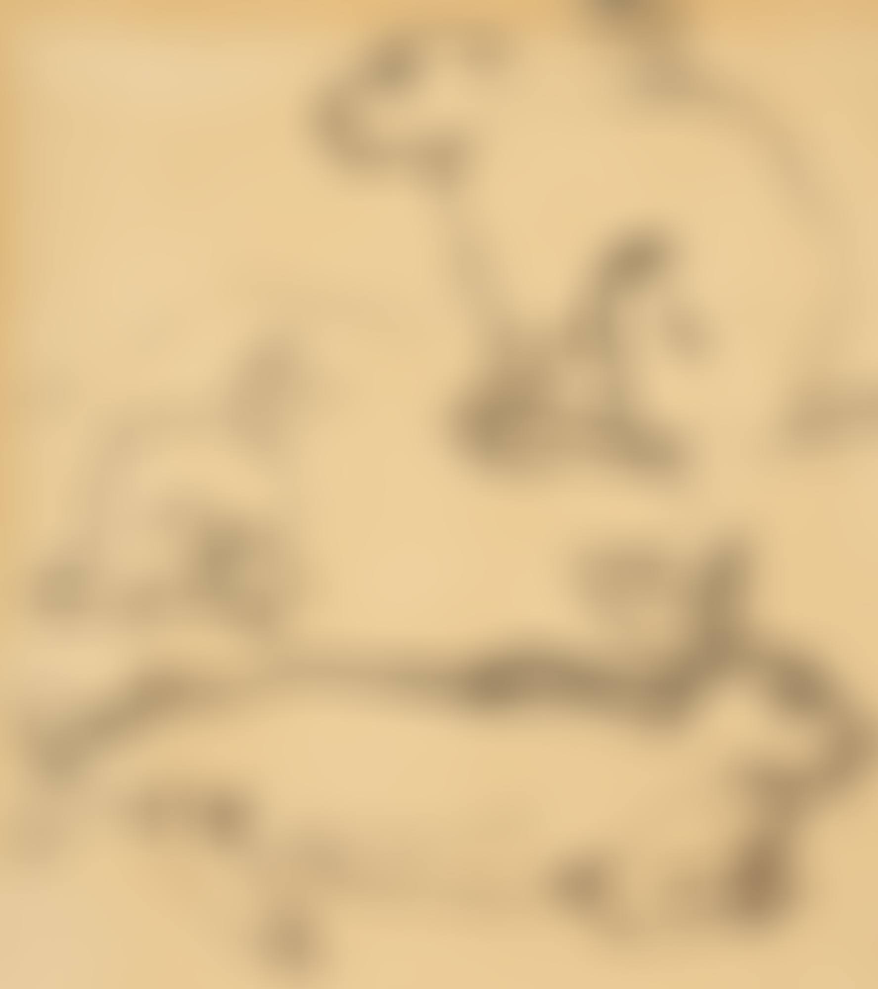 RABBITS (preview)