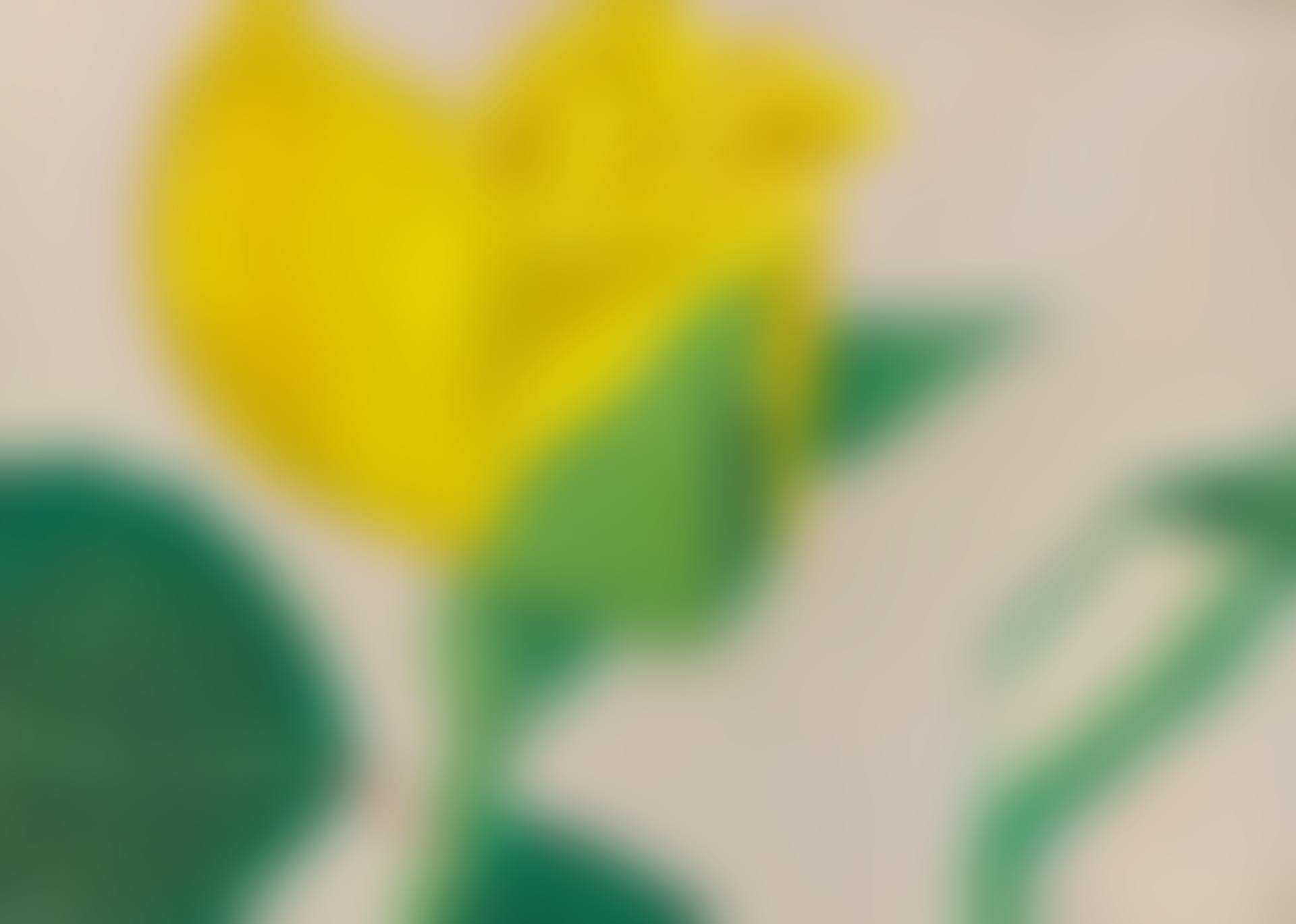 YELLOW ROSE (preview)