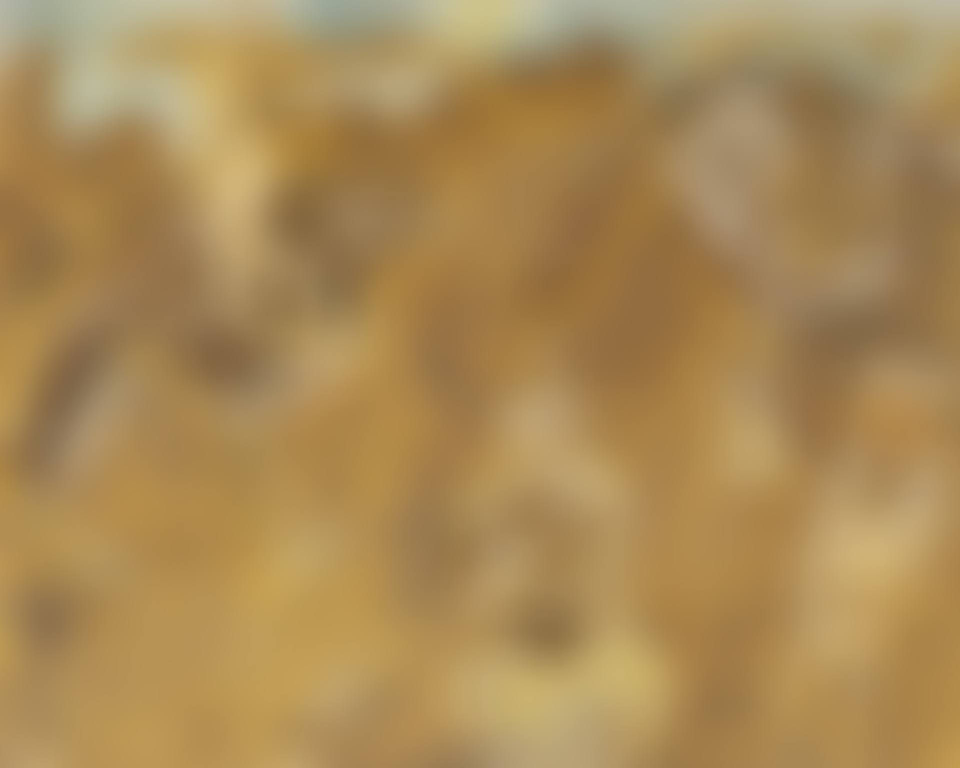 CARAVANE (preview)