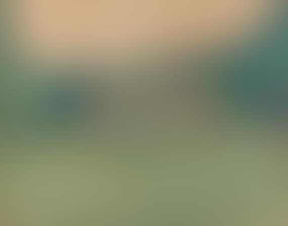Die Waldwiese (preview)