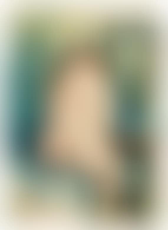 Interieur mit weiblichem Rückenakt (preview)