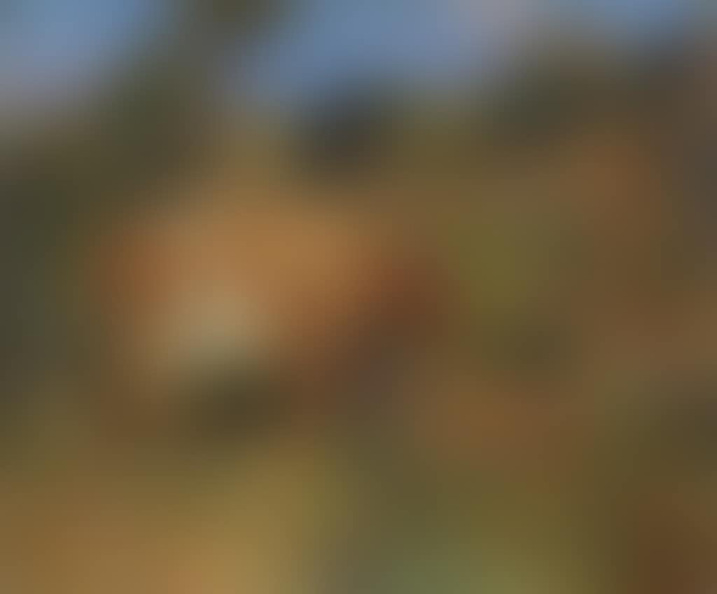 A cow in a landscape (preview)