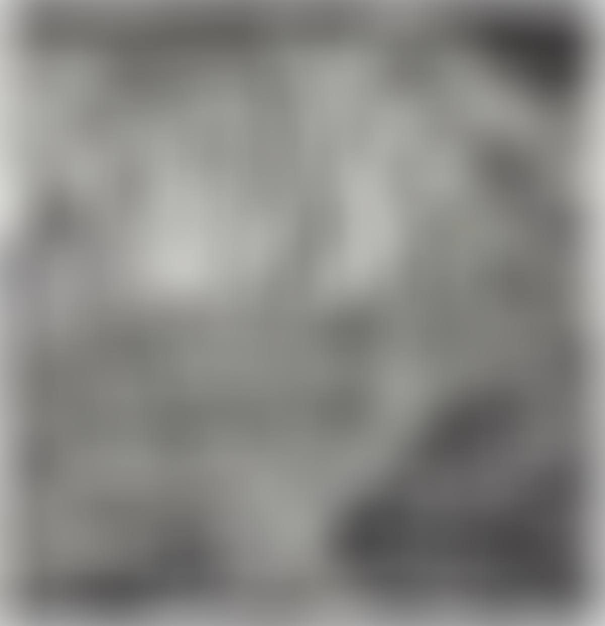 Swan Engraving Square II, from Swan Engravings (preview)