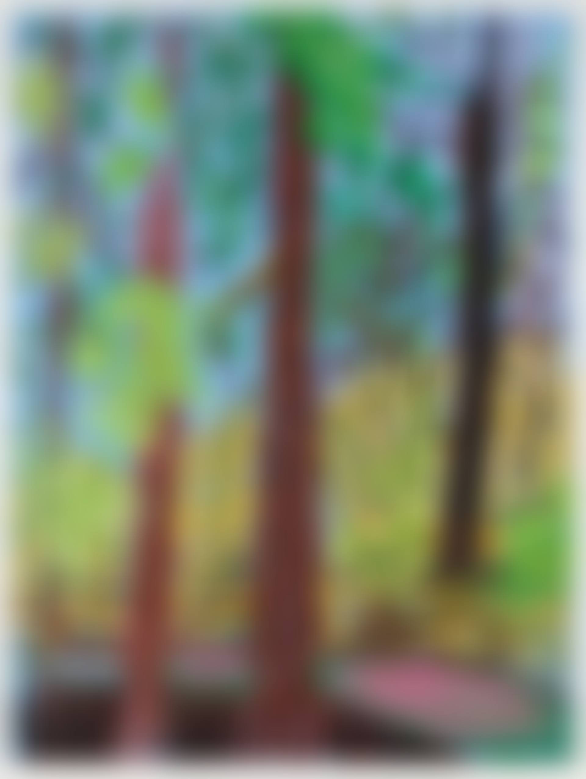 Untitled No. 6 from the Yosemite Suite (preview)