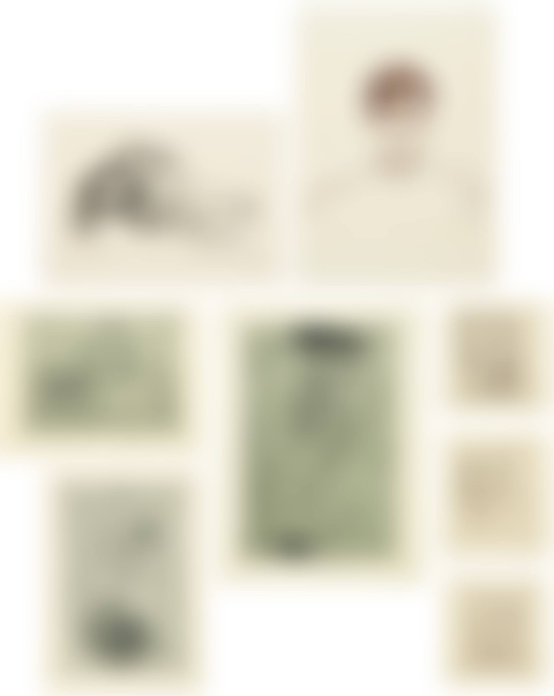 Das Graphische Werk von Egon Schiele (preview)