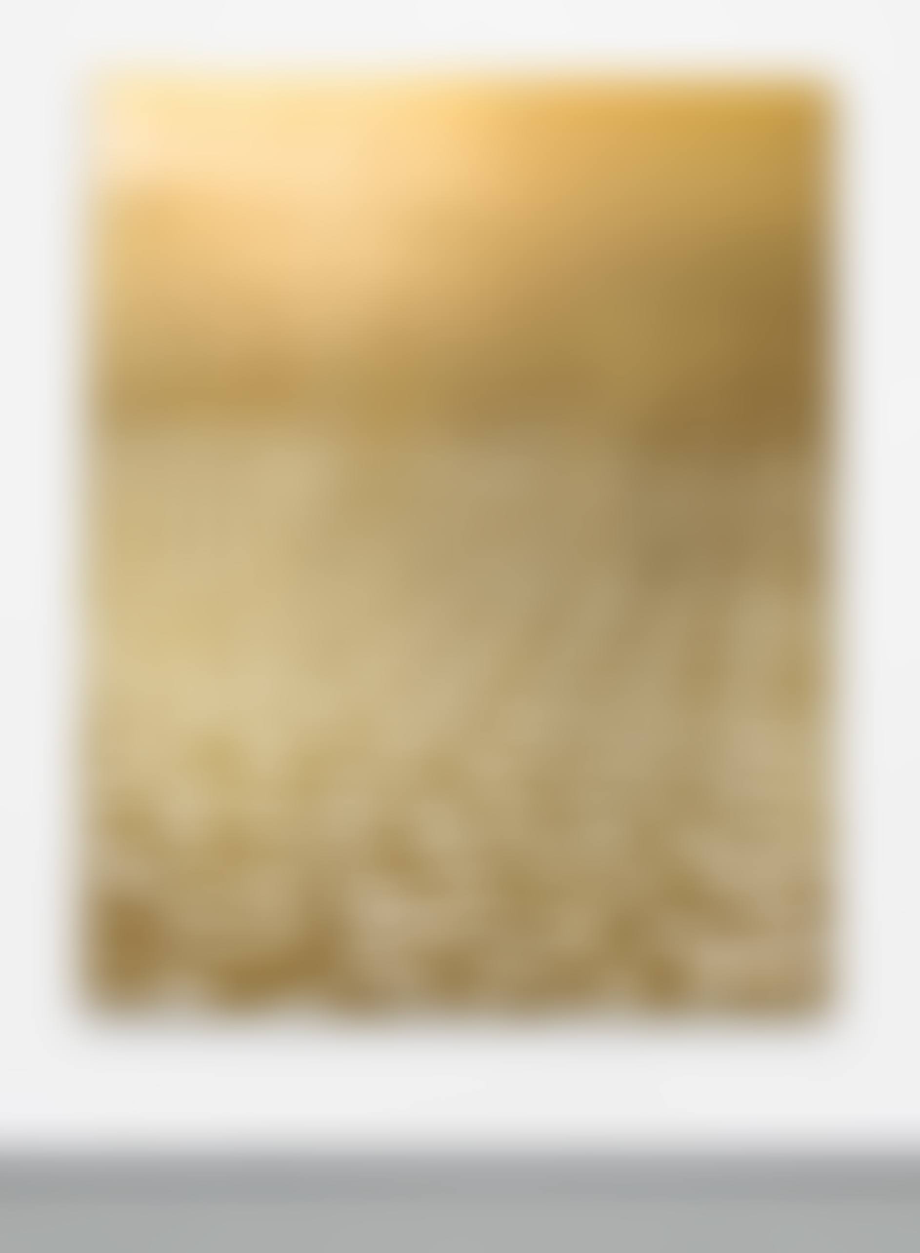 Untitled (Plan B) (preview)