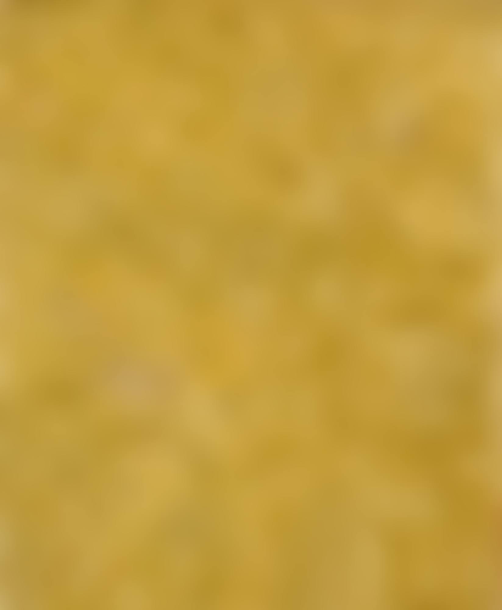 UNTITLED MONOGOLD (MG 47) (preview)