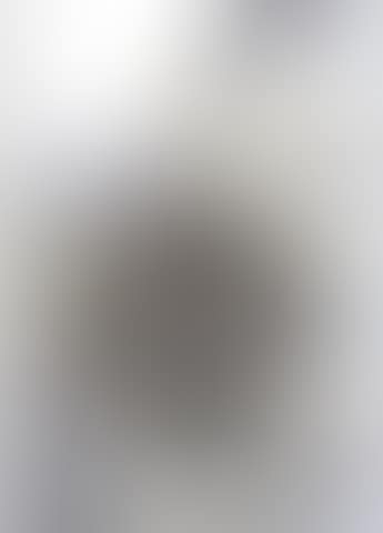 Untitled 1983 (preview)