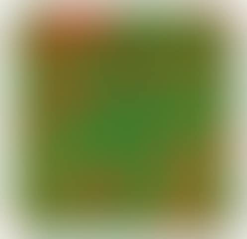 20% de Carrés Superposés 1970 (preview)
