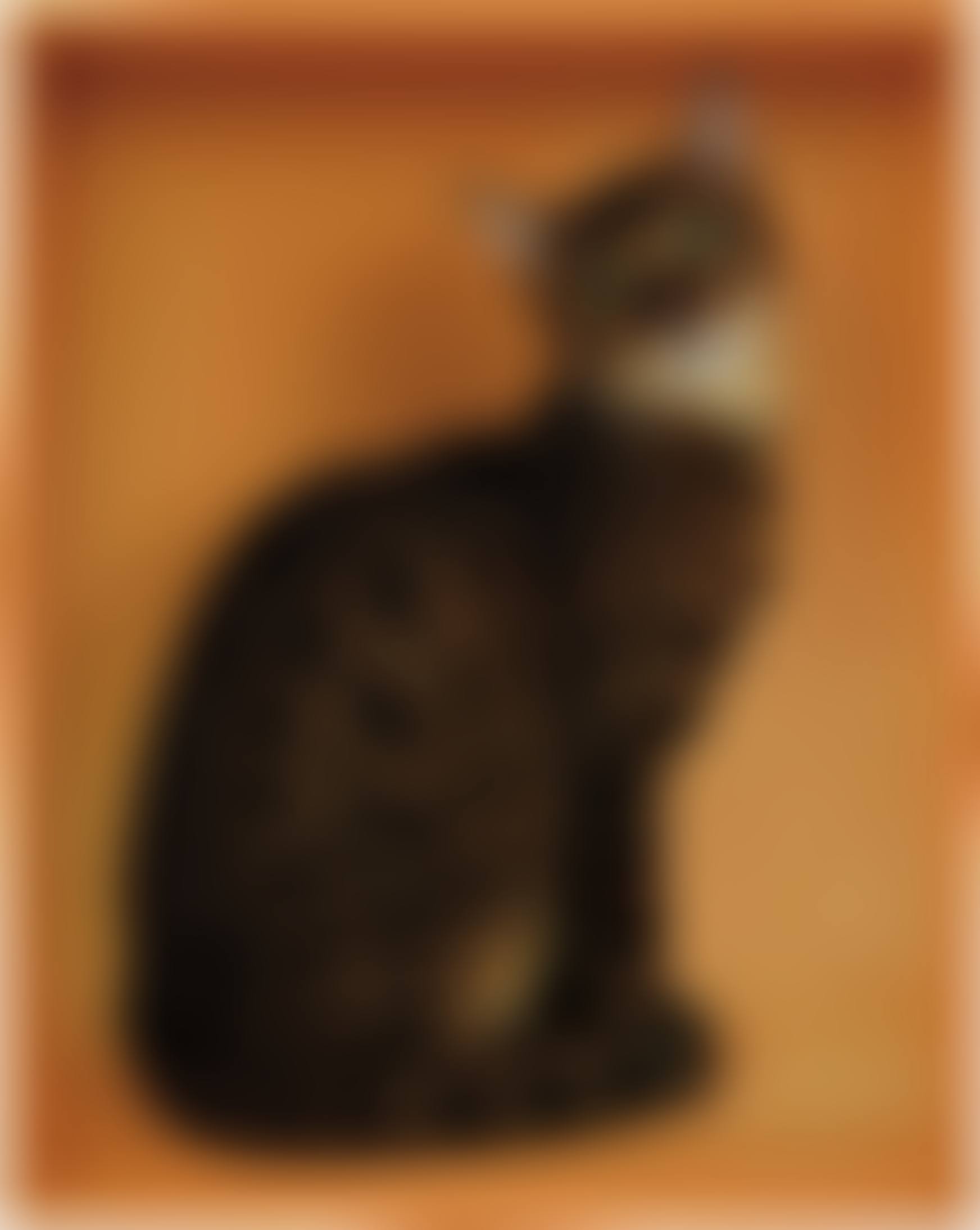 Bengal (preview)
