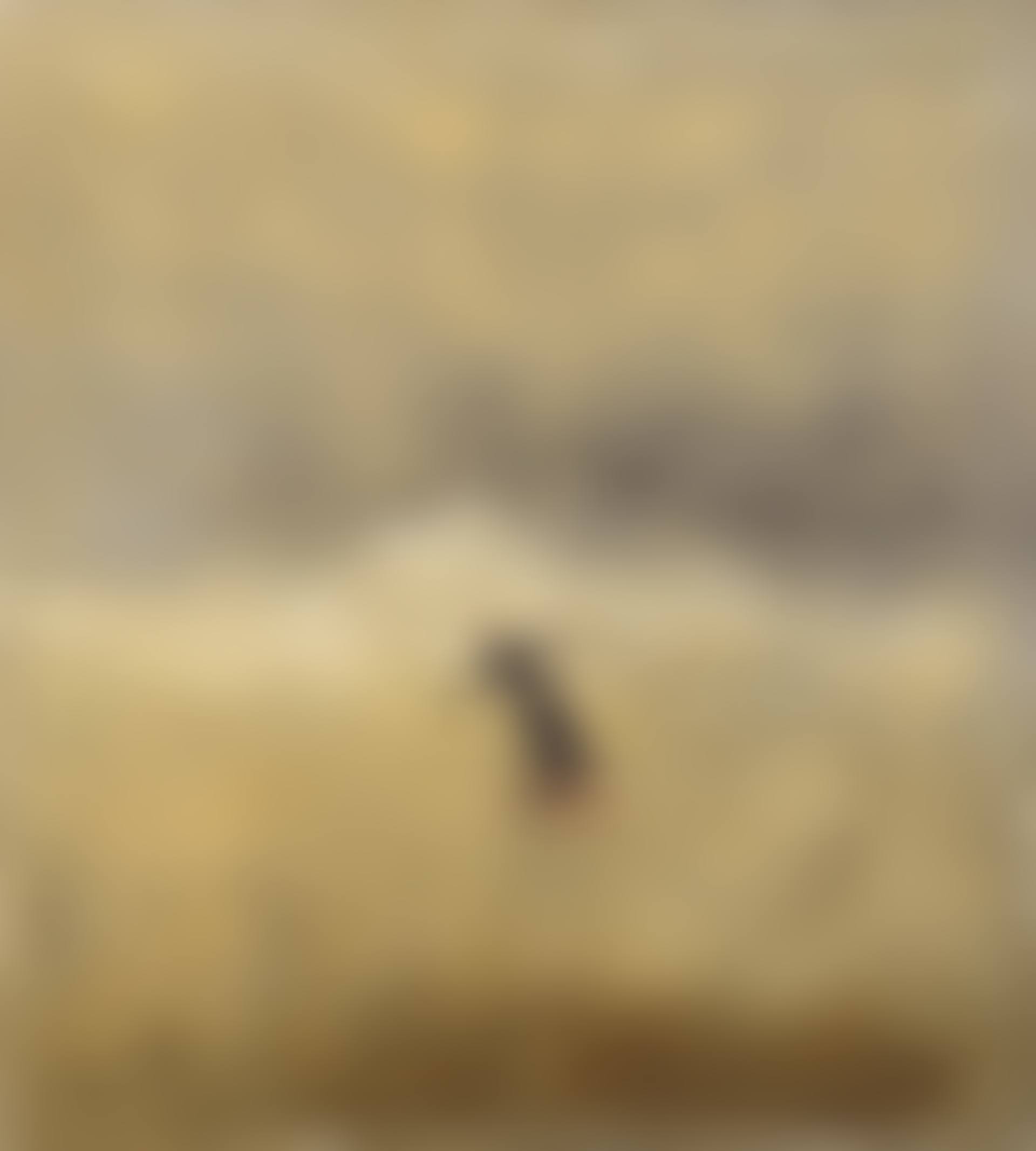 …am Meer (preview)