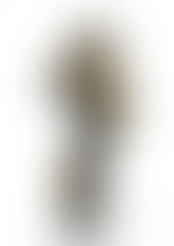 Untitled (Amphitrite with propellors) (preview)