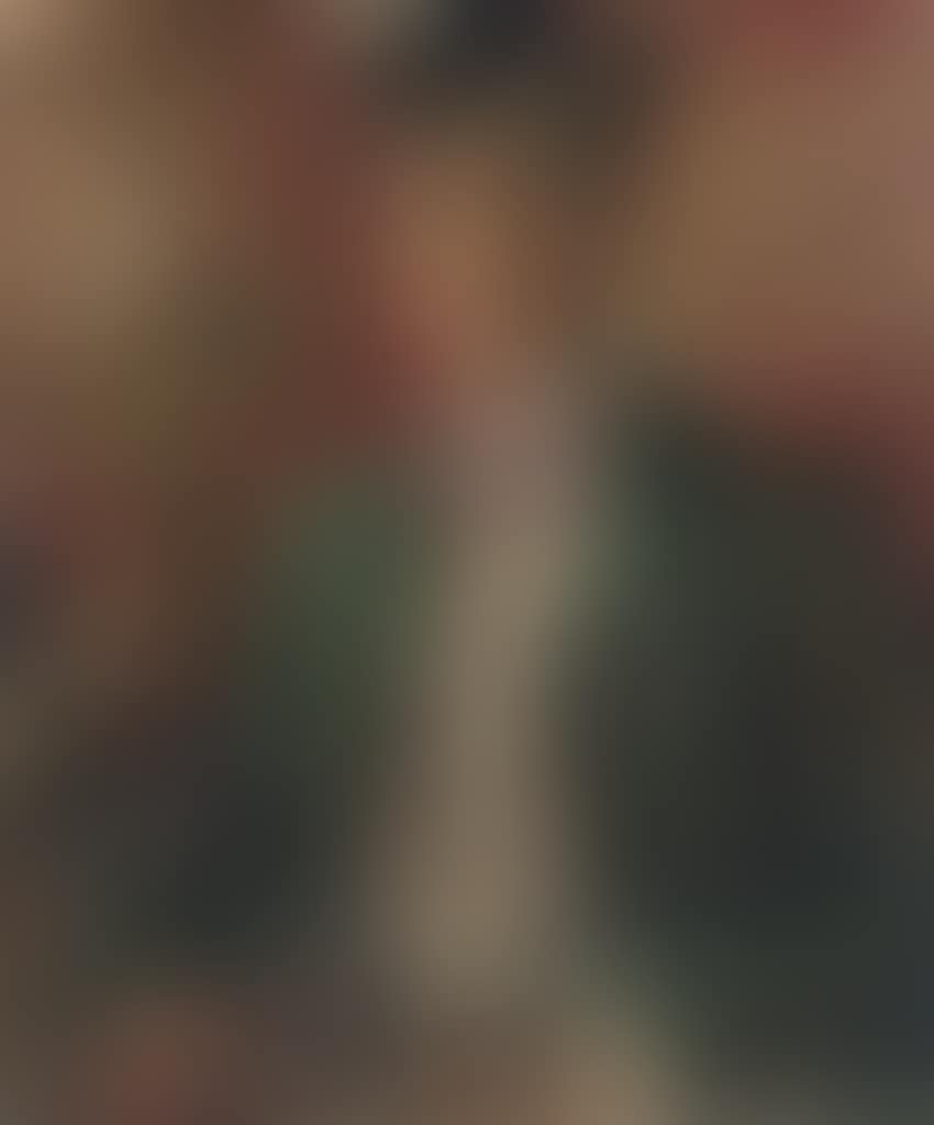 Portrait of John Carrol (preview)