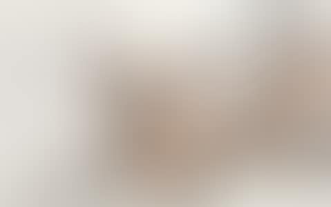 DREAMING BRUSH (preview)