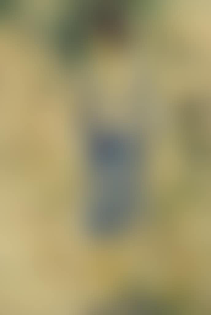 WANITA BERKACAMATA (LADY WITH SUNGLASSES) (preview)