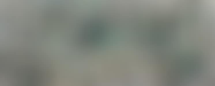A Lotus Pond (preview)