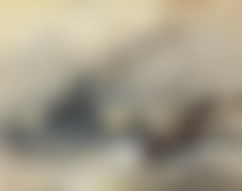 A merchant convoy under escort (preview)