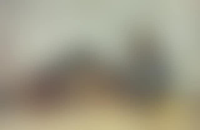 Still life with Mandolin (preview)