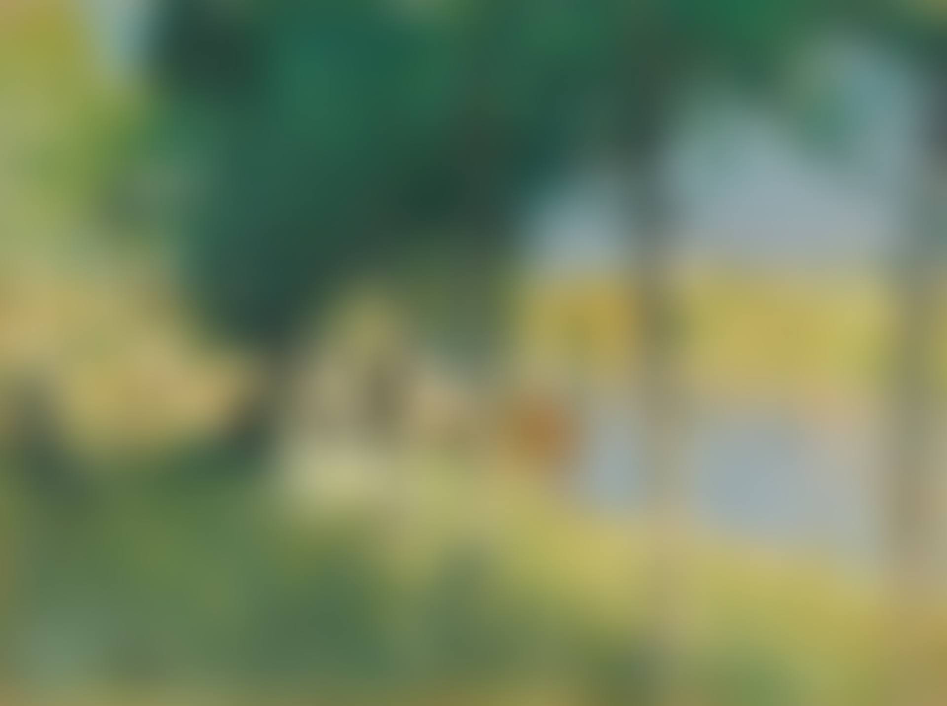 CANOTAGE (preview)