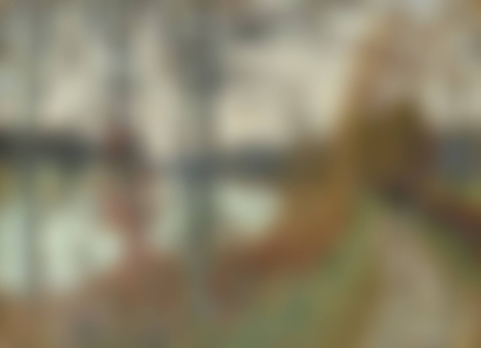LA SEINE À BOUGIVAL (preview)