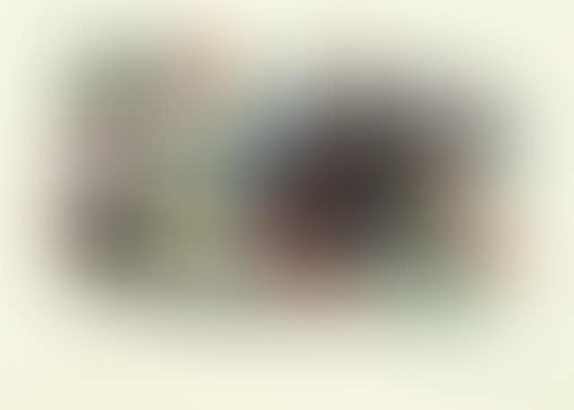 Lithographs I - plate 12 (Mourlot 866, Cramer 160) (preview)