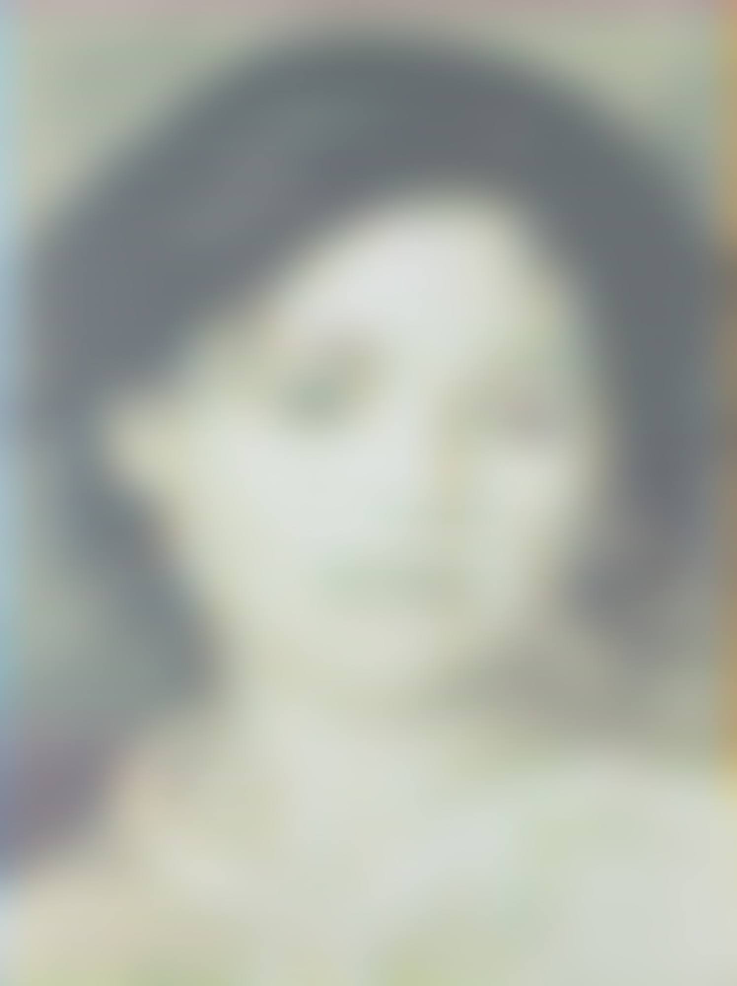 RENOIR DIGITALISÉ (preview)