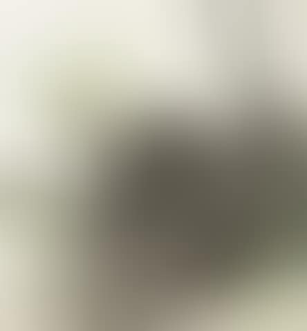 Green Lotus (preview)
