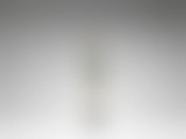 Poltesco (preview)