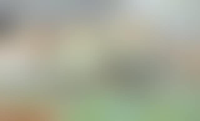 Landscape: Wood (preview)